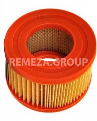 Патрон фильтра воздушного Remeza 4093100100 фото